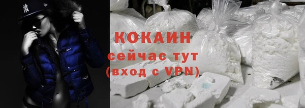 шишки Александровское