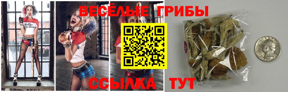 Псилоцибиновые грибы ЛСД  Вход с VPN  Пенза 